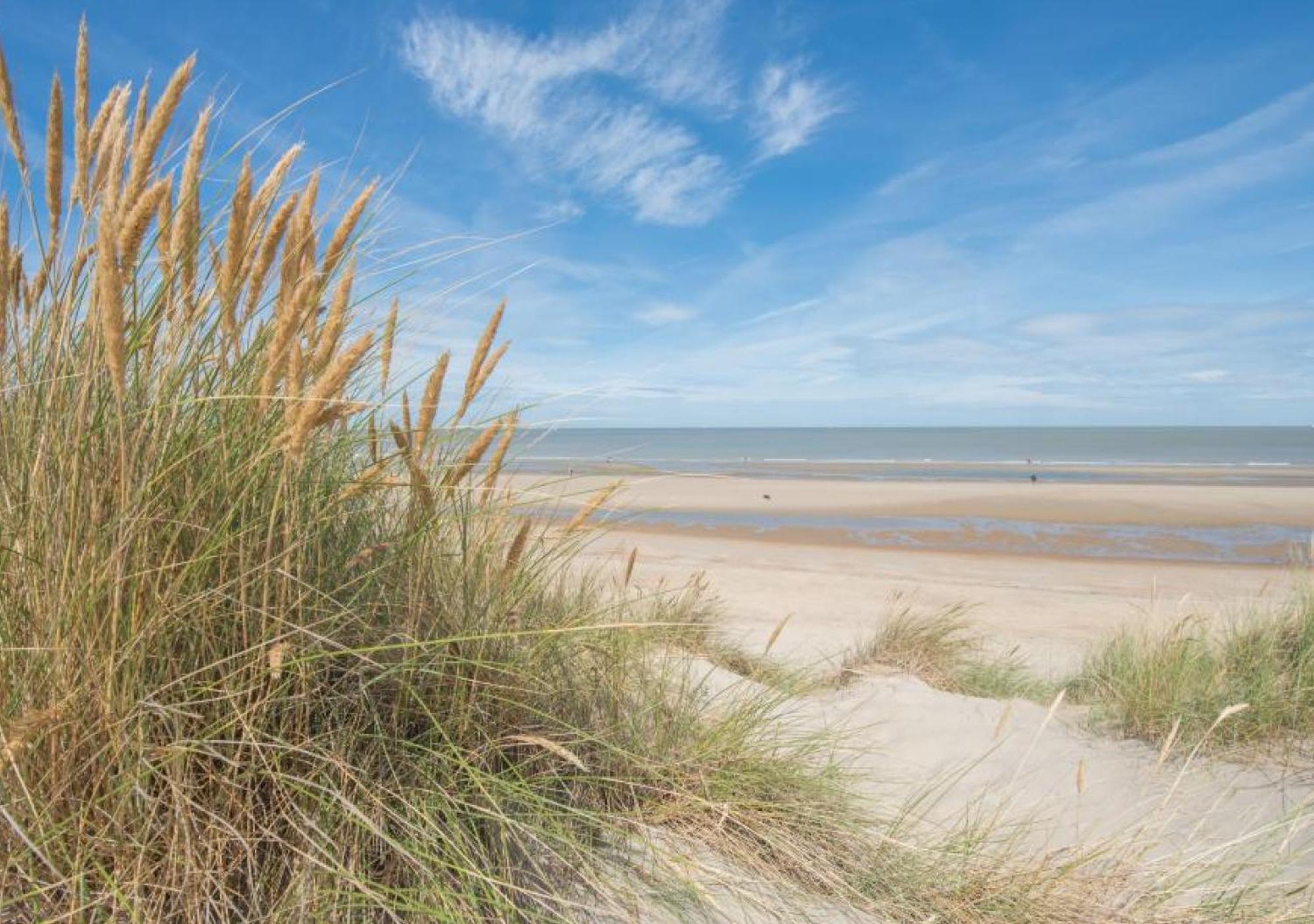 Salty - Vakantiehuisje Op De Grens Van Bredene-De Haan Экстерьер фото
